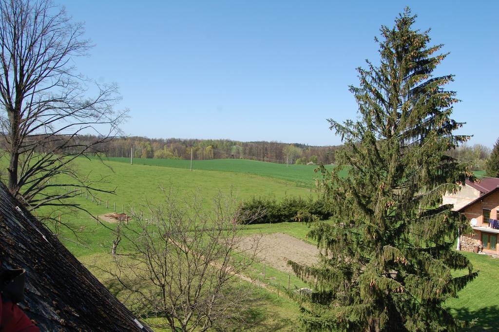 Kozi Farma U Nydrlu Villa Stara Cervena Voda Exterior foto